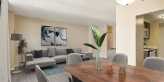 Prospect Place Gallery 8