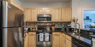 Wellington Place Gallery 17