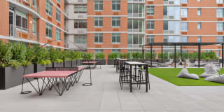 The Duchess Gallery 8