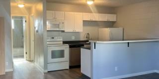 2229 Collyer Street, Unit 3 Gallery 2