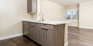 SOMA at 788 Gallery 3