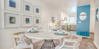 Finch at Larkspur Gallery 3
