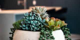 Abendroth Gallery 57