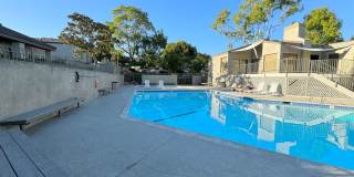 Scenic 4 Bedroom, 2.5 Bathroom Condo Gallery 26