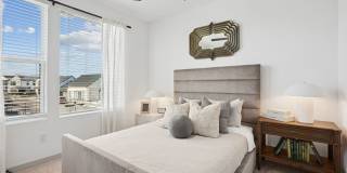Vireo Twelve Oaks Gallery 14