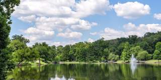 Secret Oasis in East Nashville - FOR LEASE Gallery 58