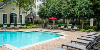 Paces Park Gallery 9