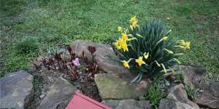 538 S 23rd Street Gallery 17