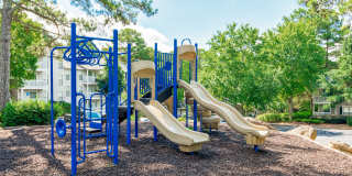 Park Valley Apartments Gallery 28