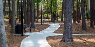 Walton Reserve Gallery 9