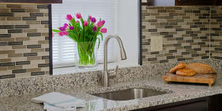 Colonial Square Gallery 7