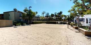 Newport Village Gallery 42