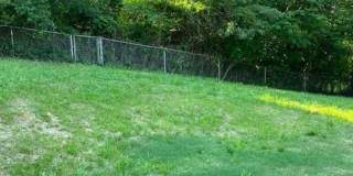 Knoxville 37920 - 3 bedroom, 2 bath home with fenced yard- Contact Ed Johnson (865) 924-5045 Gallery 4