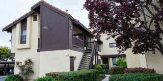 Resort-Style Bayside Living | Bright & Updated 2-Bedroom Condo in Gated San Leandro Marina Community Gallery 1