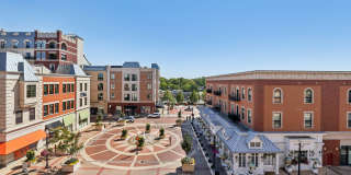 The Wren & Windsor Gallery 25