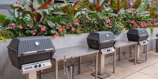 Third North Apartments Gallery 10