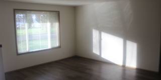 3 Bed 2 Bath Hillsboro Ranch Gallery 4