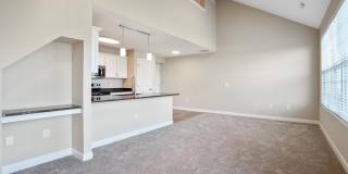 5906 Whitebark Pine Trail Gallery 2