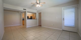 Palms of Clearwater Gallery 48