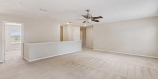 New Rental! Gallery 16