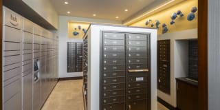 The Lindley Gallery 43