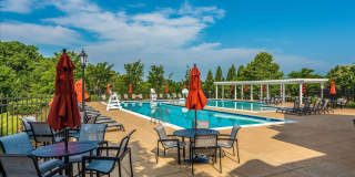 3907 BRAVEHEART Circle Gallery 66