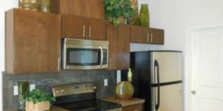Amazing location with private yard space Gallery 7