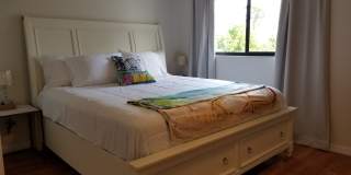 165 White Fawn Dr Gallery 23