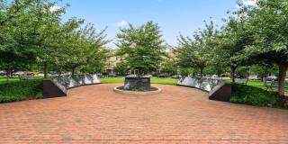 621 BLUEMONT Avenue Gallery 29