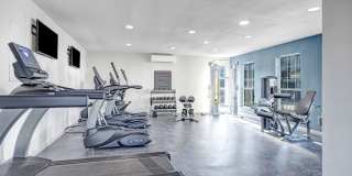 The Maxwell The Maxwell Gallery 12