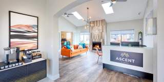 Ascent at Havana Gallery 10