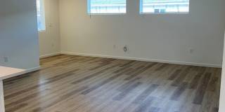 Pantano Vista Gallery 9