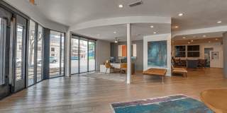 Vue Live Oak Gallery 19