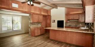Mid-Century Modern 3Br 2Ba on 1/2ac with View! Gallery 8