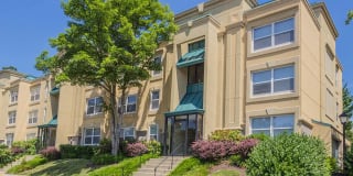 Stuart Woods Apartments Gallery 4