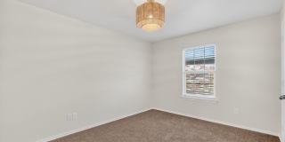 509 Wagner Gallery 27