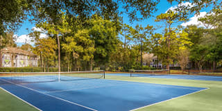 St. Johns Forest Gallery 16