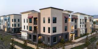 North Grove Gallery 75