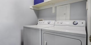 Laurel Oaks Gallery 14