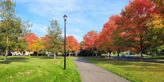 CDA Place Neighborhood- 4 bed with basement, cul de sac Gallery 37