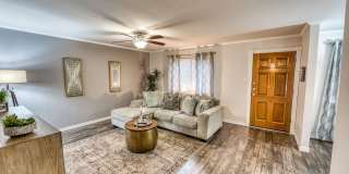 Juniper Springs Gallery 27