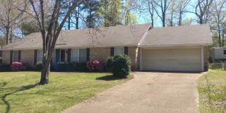 Nice 4 Bedroom 2 Bath Property Near Tuscaloosa/Cottondale Area Gallery 1