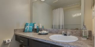 Cameron Cove Gallery 6