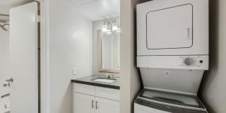 Rise on Cactus Gallery 8