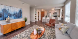 Theo Apartments Gallery 8