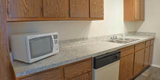 Ambassador Arms Gallery 21