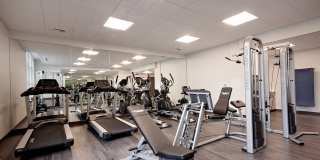 Attwell off Main Gallery 34