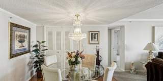 255 Dolphin Point Gallery 10