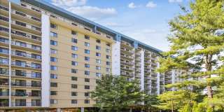 3800 POWELL Lane unit: 1228 Gallery 1