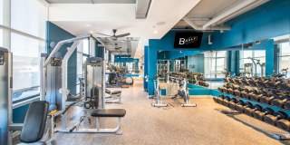 The Baxly Gallery 19